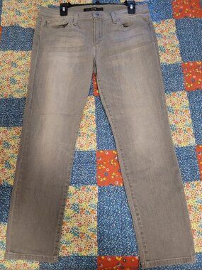 Womens Joe's Jeans Grey Skinny Jeans Size 32